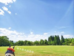 -海淀公园