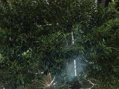 -桂园白粥·潮汕老味道
