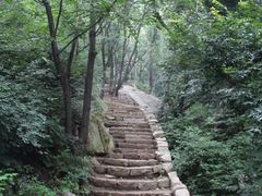 -大岭沟猕猴桃谷风景区