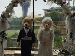 -济州岛泰迪熊博物馆