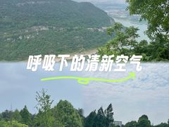 -铁山坪森林公园