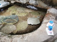 -郑庄脂渣海鲜楼(九水路店)
