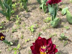 -长春公园(普阳街道)