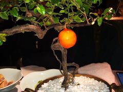-西郊5号·Maggie 5
