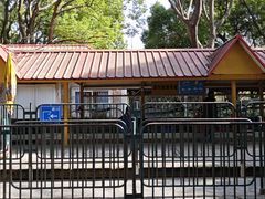 -上海共青森林公园