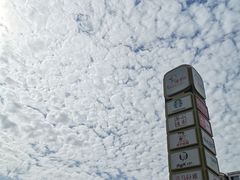 -高新活力汇Vitality