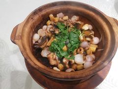 -新兴·金羊座·粤菜点心(乐峰店)