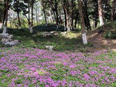 -玄武湖景区-情侣园游乐场