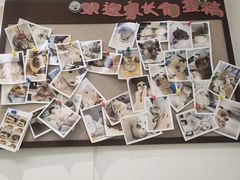 -立德异宠动物医院.兔鸟爬.内窥镜(天河店)