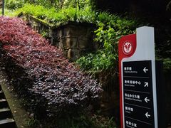 -西南政法大学(沙坪坝校区)