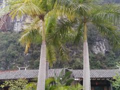 -大新明仕山庄