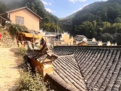 -杨家堂村