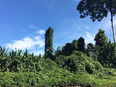 -乌鲁淡布隆国家公园