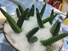 -石岐乳鸽村(南海第三分店)