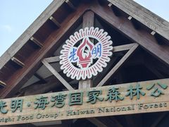 -上海海湾国家森林公园