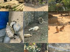 -泉州海丝野生动物世界
