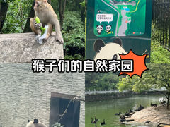 -黔灵山公园