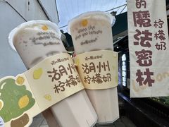 -猫的魔法密林(衣裳街店)