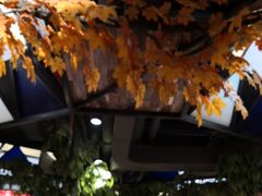 -胡胖子有点味(后瑞店)
