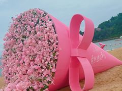 -小梅沙海滨乐园