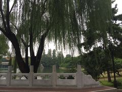 -钓鱼台国宾馆
