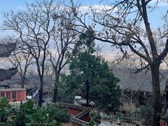 -西昌邛海湿地