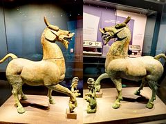 -广西壮族自治区博物馆