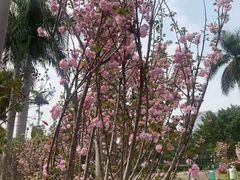 -观澜湖生态运动公社