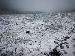 -卧龙自然保护区