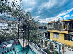 -喵屿·大理花园猫咖