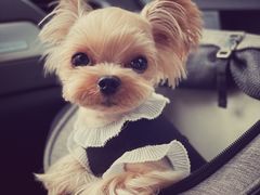 -珊珊小笼馆(仙霞路店)