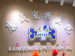 -康成宠物医院24H·CT·核磁共振