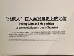 -北京周口店北京人遗址博物馆