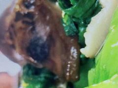 -绿野餐厅(上海动物园店)
