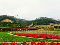 android_upload_pic-望天湖