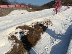 -蓟县盘山滑雪场