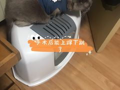 -北京派仕佳德动物医院·超导核磁·CT·神经科·骨科·内外科·急重症管理中心