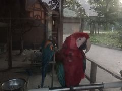 -北戴河集发农业梦想王国