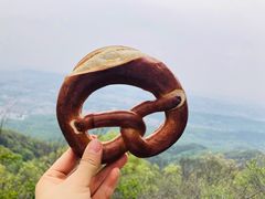 -紫金山山顶公园