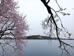 -颐和园