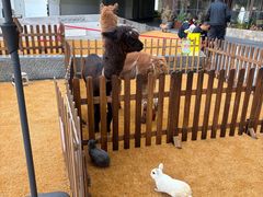 -上海七宝领展广场