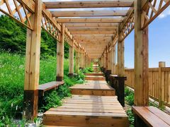 -白草畔自然风景区