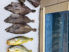 -双井轩(双井店)