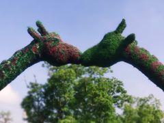 -苏州乐园森林水世界