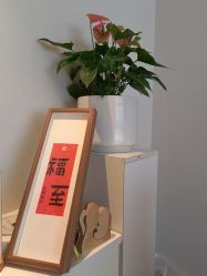 -慢脚印孕产中心(园区国金店)