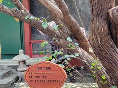 景观位-上海老饭店(北京分店)