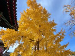 -承恩寺