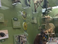 -国家自然博物馆