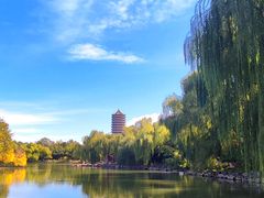-北京大学