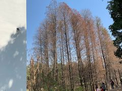 -华南国家植物园-售票处